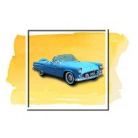 Automotive 